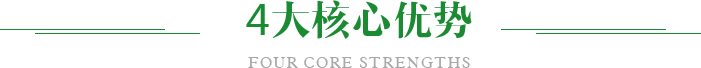4大核心優勢